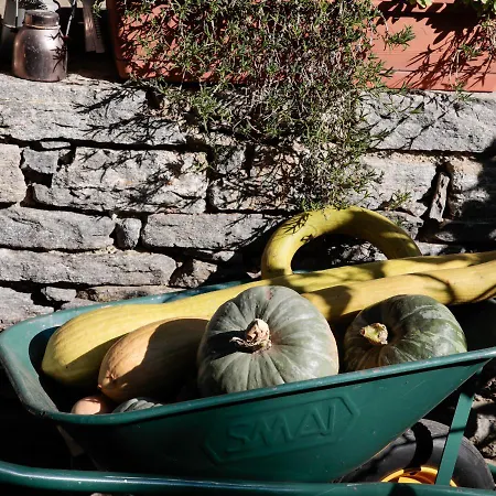 Moro - Family House ベッド・アンド・ブレックファスト ドモドッソラ