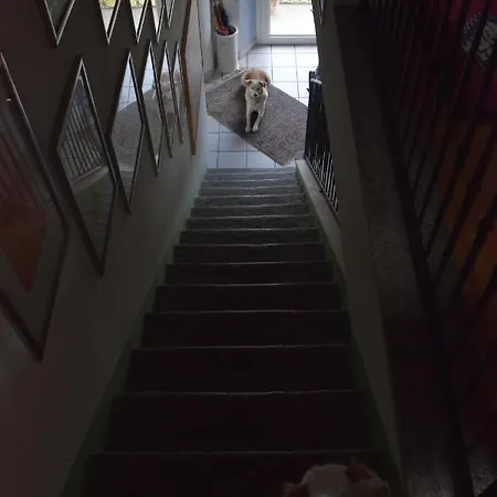 Moro - Family House ベッド・アンド・ブレックファスト ドモドッソラ