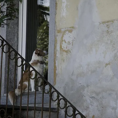 ベッド・アンド・ブレックファスト Moro - Family House