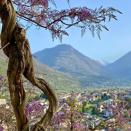 Moro - Family House Frühstückspension *