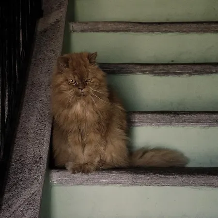 Moro - Family House * Domodossola