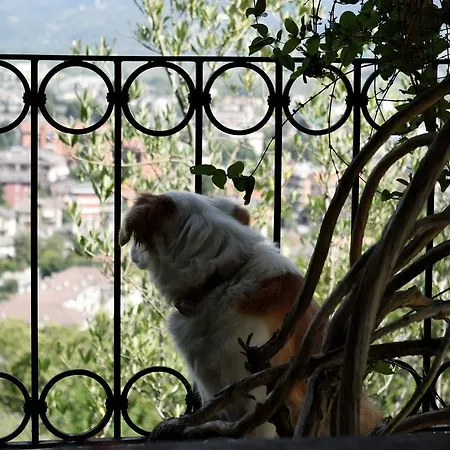 Moro - Family House Frühstückspension Domodossola